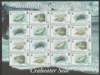 British Antarctic Territory 2009 Crabeater Seal Sheet Sg506 - 509 Cat £48 Bat