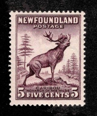 Newfoundland 190 Sg 225 Mh F/vf 5c 1932 - 37 Issue [n3049] Cv=$11.  25