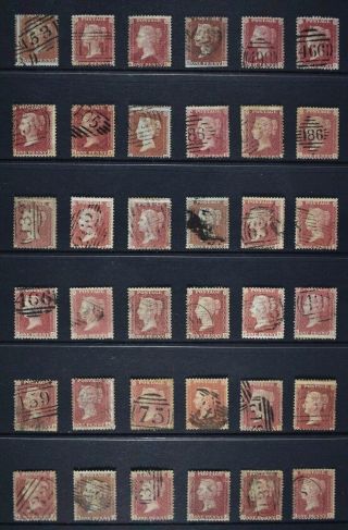 Qv,  1854 / 61 Penny Reds,  Thirty Six Examples For Identification.
