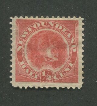 1888 Newfoundland Dog 1/2 Cent Postage Stamp 56 Hinged F/vf