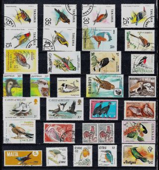 Birds Thematic Stamp Colllection Ref:ts917