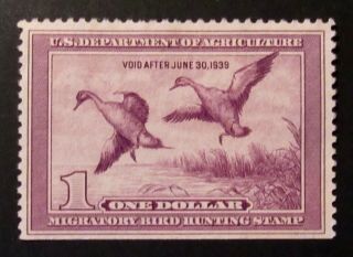 Rw5 - 1938 Federal Duck Stamp - - No Gum