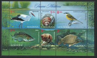 Moldova Stork Wagtail Birds Fish Snails Fauna Ms Mnh Mi 883 - 888