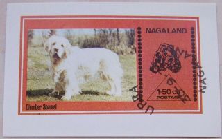 Nagaland - Block Dogs,  Spaniel