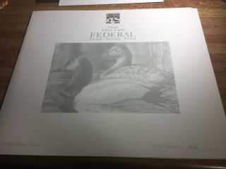 1993 - 94 Us Federal Duck Stamp & Print Both Signed By Artist Bruce Miller