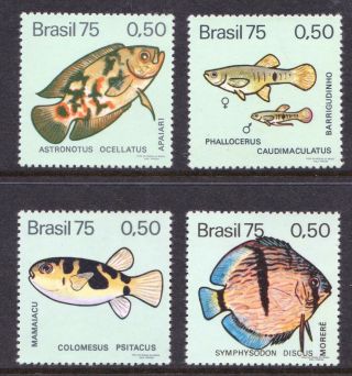 Brazil 1975 Freshwater Fish - Mnh Set - Cat £6.  95 - (107)