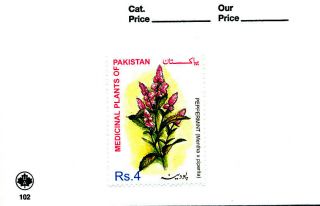 Medicinal Plants Peppermint Pharmacy Health Medicine 2001 Pakistan Mnh