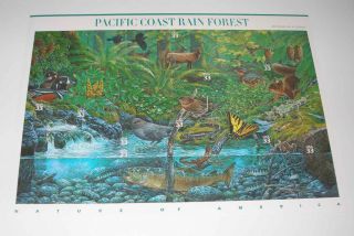 U.  S.  Stamp Scott 3378 Pacific Coast Rain Forest Sheet - 2nd In Series - Mnh