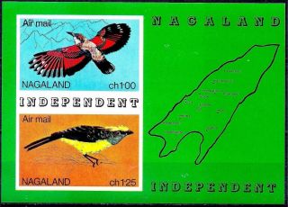 Nagaland 1970 Birds Airmail Maps M/s Mnh