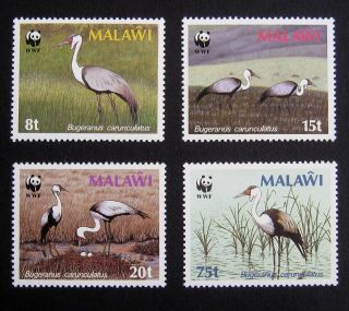 Malawi 1987 Birds.  Full Set Of 4 Stamps.  Mnh