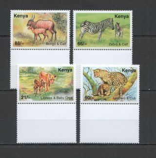 Y773 2004 Kenya Fauna Wild Animals & Pups 769 - 72 Set Mnh