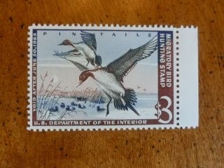 Nh Federal Duck Stamp Scott Rw29