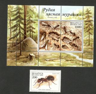 Belarus - Mnh Block,  Stamp - Fauna - Insects - 2002.