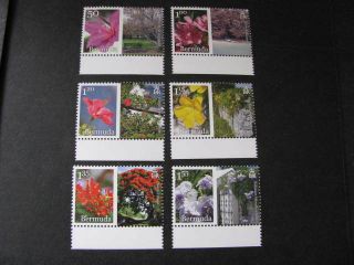 Bermuda Stamp Set Flowers Never Hinged Lot B