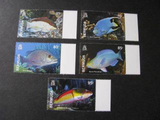 Bermuda Stamp Set Fish Never Hinged Lot A