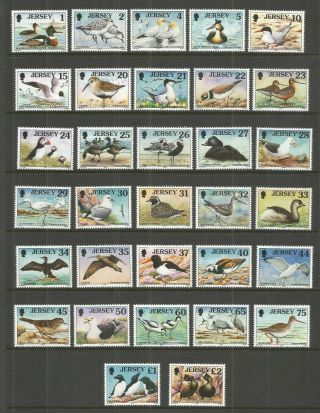 Jersey 1997 - 99 Seabirds And Waders Sg,  774 - 805 Um/m N/h Lot Rl30