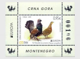 Europa Cept Montenegro 2019 Birds Souvenirsheet Mnh