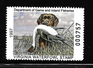 Hick Girl Stamp - M.  N.  H.  U.  S.  State Of Virginia 1997 Duck Hunting Stamp Y1996