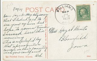 1909 Williams Arizona Fine Cancel On Scenic Post Card Petrified Tree