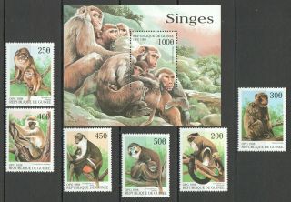 H53 1998 Guinea Fauna Wild Animals Monkeys 1bl,  1set Mnh