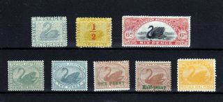 Western Australia 1884 - 1902 8 Stamps Mostly Mlh