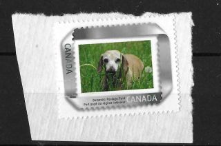 Canada Picture Postage/personalized Stamp 2064 - Dog In The Grass - On Paper