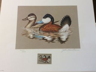 In Folio 1981 Federal Duck Stamp And Print John Wilson