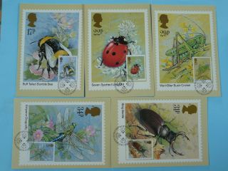 Insects Set Of 5 Maximum Card Phq Great Britain 1985
