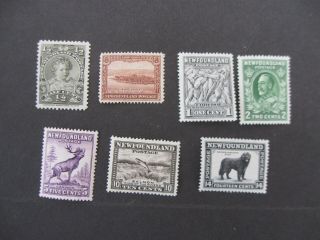 Newfoundland Selection Of 7 Lmm Stamps Catd £26.  50