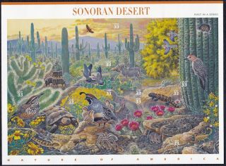 Us Stamps 3293 A - J - 1999 - Sonoran Desert - Pane Of 10 - B8505