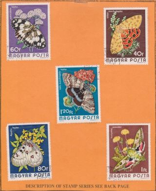 (v9 - 13) 1974 Hungary 5stamps Butterflies On Stamp Card (m)