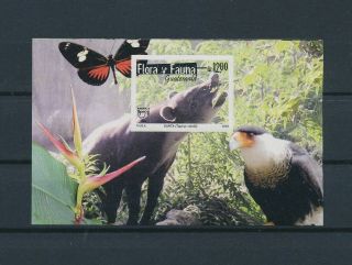 Lk64513 Guatemala Animals Fauna Flora Wildlife Imperf Sheet Mnh