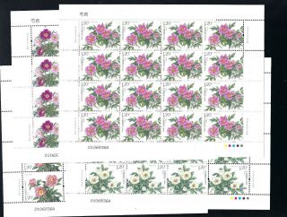 China 2019 - 9 芍药 Full S/s Peony Flower Stamp