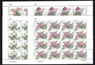 China 2019 - 9 Herbaceous Peony 4v Full S/s Stamp Flower Same Number 芍药