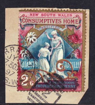 South Wales Sg281 1897 2/6 Charity Stamp On Piece