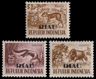 ✔️ Indonesia 1957 - Fauna Riau Wide Overprint - Zbl.  23/25 Mnh Og [idr023]