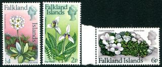 Falkland Islands - 1974 Flowers Wmk Varieties Set Of 3 Sg 293 - 5 Unmounted