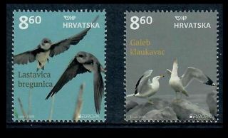 Croatia 2019 Europa National Birds/ Martin,  Gull On Set Of Two Stamps Mnh