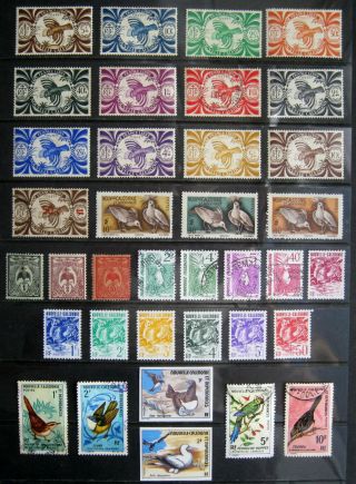 Caledonia Birds.  Large Selection Of Old And Stamps.  Used/mint