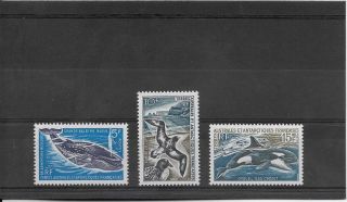 French Southern,  Antarctic Territories.  1962 - 72.  5f,  10f,  15f.  Fine Mnh.  (411)