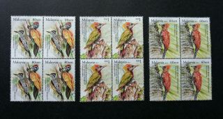 Woodpecker Malaysia 2013 Bird Nature Wildlife Forest Animal (stamp Block 4) Mnh