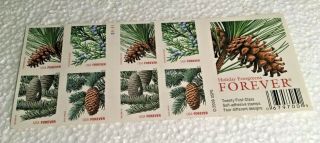Usps Forever Stamps Holiday Evergreens Booklet Of 20
