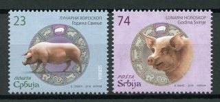 Serbia 2019 Mnh Year Of Pig 2v Set Chinese Lunar Year Stamps
