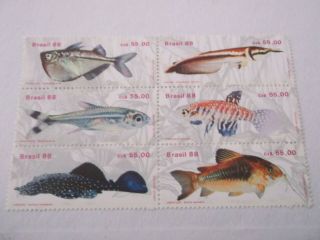 1988 Brazil Freshwater Fish Block Of 6 M/m Mi.  2298/2303.  Z41