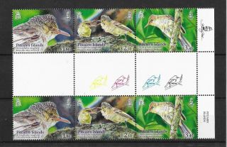 Pitcairn 2019 Issue Reed Warbler Gutter Strip Issued 14 - 06 - 2019 Mnh
