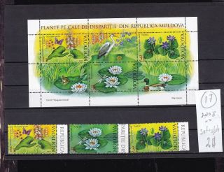 Moldova 2008 Mnh Set,  S/sh.  Water Flowers.  See Scan.