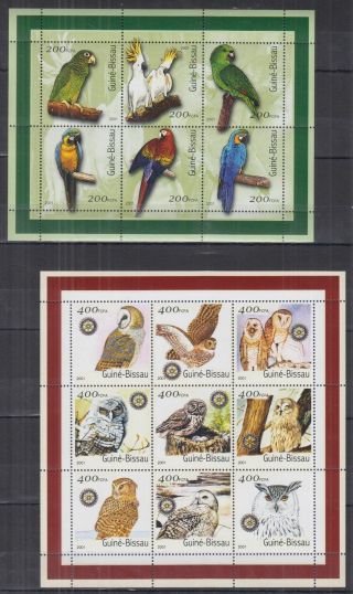 N703.  Guinea - Bissau - Mnh - Nature - Birds - Parrots - Owls
