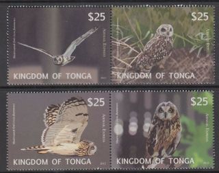 Tonga 2012 Express Short - Eared Owl Set (x4) (id:243/d54454)