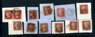Queen Victoria Penny Red Stars On Piece 12 Stamps (jy352)