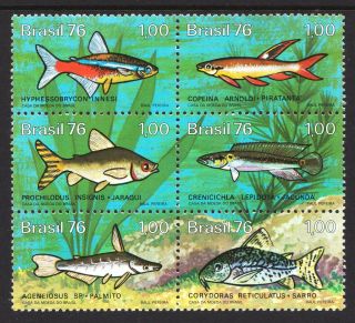 Brazil 1976 Brazilian Freshwater Fish - Mnh Block - Cat £8.  40 - (106)